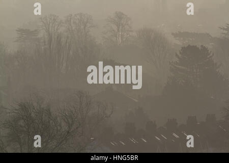 Wimbledon Londres, Royaume-Uni. Feb 13, 2017. Paysage de Wimbledon et tree tops baigné de soleil voilé que les températures devraient apporter un dégel à Londres et de nombreuses régions du Royaume-Uni Crédit : amer ghazzal/Alamy Live News Banque D'Images