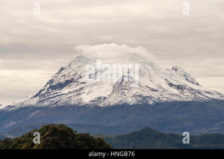 Les sommets enneigés du Cotopaxi volcan, le quatrième plus haut sommet de l'équateur à 5 704 mètres. Banque D'Images