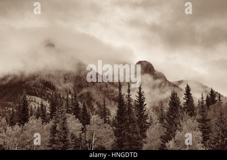 Parc national Banff montagnes brumeuses et des forêts au Canada. Banque D'Images