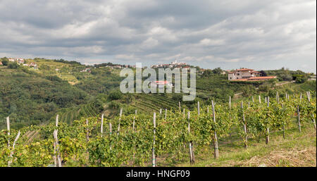 Paysage méditerranéen avec Smartno rural village médiéval et vignobles. Région sdrb dans l'ouest de la Slovénie. Banque D'Images