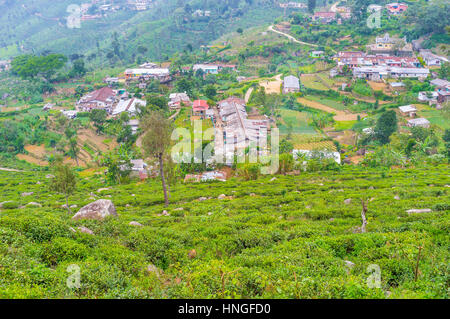 La vue sur les bidonvilles - la maison de thé pickers au Sri Lanka. Banque D'Images