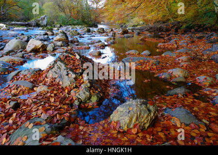 Fairy Glen, Banque D'Images