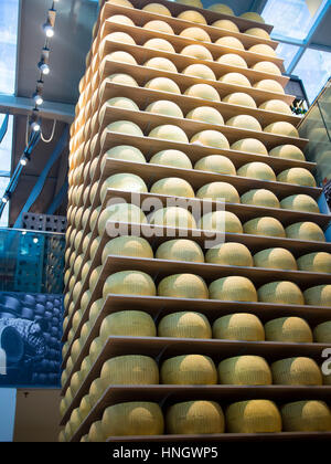 Plusieurs blocs de parmesan original parmigiano reggiano en exposition dans la boutique alimentaire dans le centre de Parme, Italie Banque D'Images
