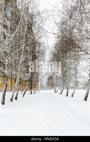 Hiver neige paysage de la ville. Le chemin dans la neige entre les arbres (bouleau) près des blocs d'appartements. Banque D'Images