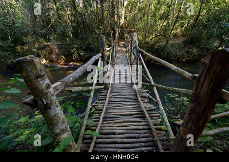 Pont en bois, V.O.I.M.M.A., réserve de parc national Andasibe, Moramanga, région Alaotra-Mangoro, Madagascar Banque D'Images