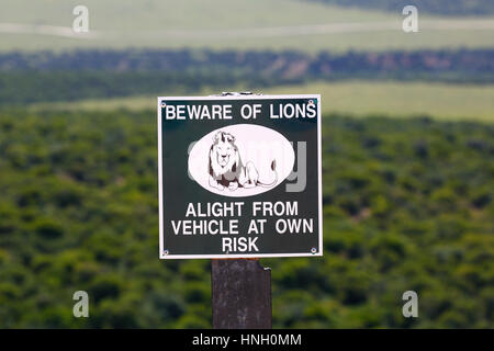 Panneau d'avertissement Attention de Lions au point de vue, sortir le véhicule à vos propres risques, l'Addo Elephant National Park, Eastern Cape Banque D'Images