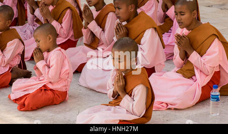 Les jeunes nonnes bouddhistes dans des robes rose et dans une prière fervente à la pagode Shwedagon, Yangon, Myanmar Banque D'Images