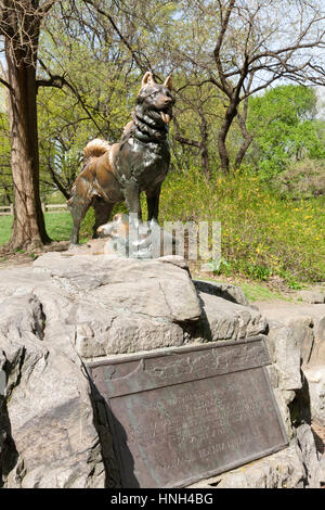 Statue de chiens de traîneau, Balto, dans Central Park, NYC Banque D'Images