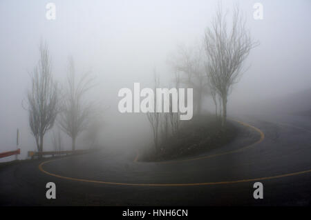 Arbres et route en cas de brouillard épais. Matin dans les montagnes d'Сhile Banque D'Images