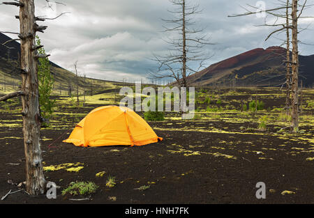 Tente tourisme dans le bois mort - conséquence de déversement catastrophique de cendres lors de l'éruption du volcan Tolbachik en 1975 Banque D'Images