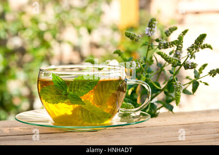 Détail de tasse de thé avec des plantes de menthe poivrée Banque D'Images