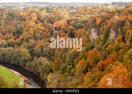 Symonds Yat. Symonds Yat est une roche qui est utilisé comme un guetteur d'obtenir une vue imprenable sur le nord de la vallée de la Wye. Ici la rivière Wye prend un moi Banque D'Images