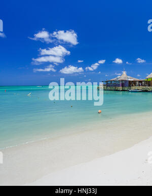 Café sur la plage tropicale à Aruba sur le palm beach Banque D'Images