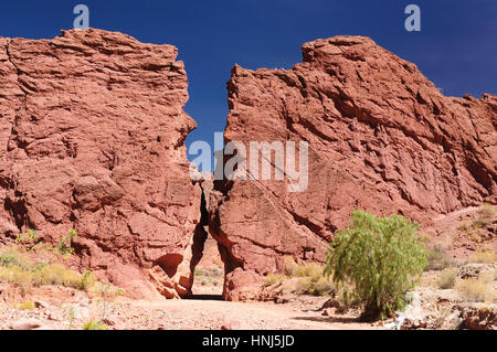 Bolivie - les plus belles Andes de l'Amérique du Sud. Tupiza paysage sont plein de roche de couleur, de collines, de montagnes et de canyon. La vue du canyon del d Banque D'Images