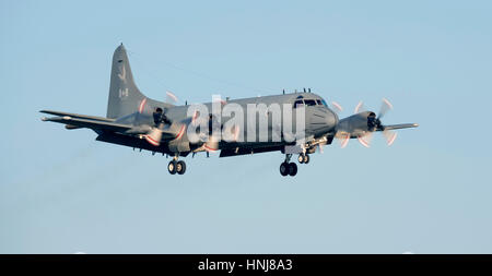 Canadian Air Force l'Aurora CP140 visite le Royaume-Uni à la RNAS Culdrose Banque D'Images