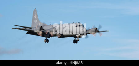 Canadian Air Force l'Aurora CP140 visite le Royaume-Uni à la RNAS Culdrose Banque D'Images