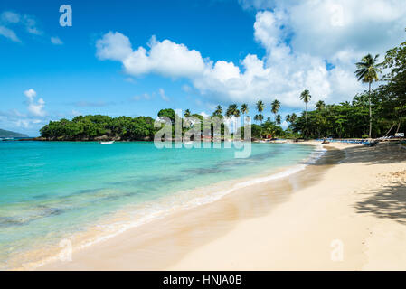 La plage pittoresque de 'Playa Rincon' autour de Las Galeras, République Dominicaine Banque D'Images