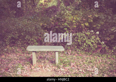 Petit banc en pierre dans la nature avec ton filtre vintage Banque D'Images