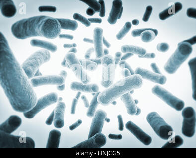 Les cellules des bactéries illustration détaillée haut Banque D'Images