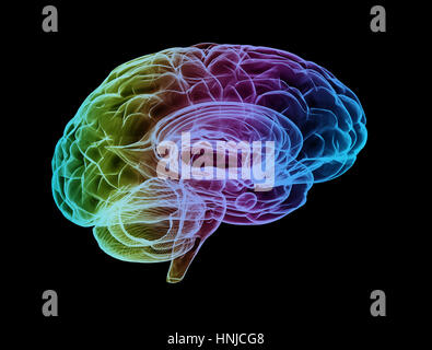 Cerveau humain multi couleur image rayon x Banque D'Images