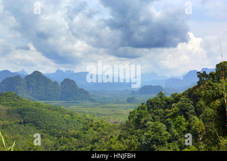 Paysage avec la forêt tropicale du Parc national de Khao Sok en Thaïlande Banque D'Images