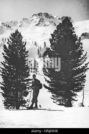 L'Italie, Dolomites, note de Sorel, 1939 - Un skieur pose entre les sapins sur le chemin de randonnée sur glacier des Alpes. Numérisation à partir de la photographie analogique, la collection de la famille privée avant la DEUXIÈME GUERRE MONDIALE. Banque D'Images