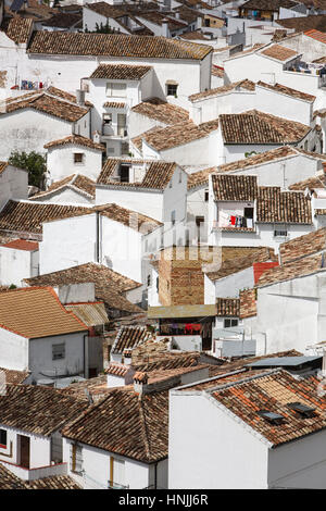 Les maisons blanchies à la chaux, Ubrique, Espagne Banque D'Images