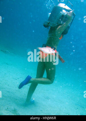 L'Ile Maurice, underseawalk, Grand Baie Banque D'Images