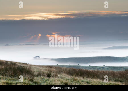 Mur d'Hadrien : brume d'automne de faible altitude ajoute à l'atmosphère vue depuis Hotbank Crags, regardant vers le sud vers le sud de Tyne et vallées Allen Banque D'Images