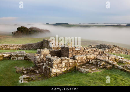 Mur d'Hadrien, Fort romain de Housesteads : les restes d'un petit établissement de bains dans le coin sud-est du bâtiment 15 sur un jour d'automne brumeux Banque D'Images