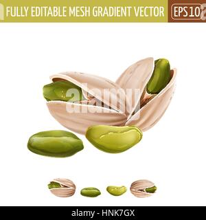 Les pistaches sur fond blanc. Vector illustration Illustration de Vecteur
