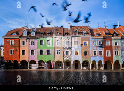 Poznan, ancienne place du marché. Place principale de la vieille ville de Poznan. Banque D'Images