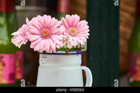 Gerbera rose fleurs daisy dans une verseuse en métal à l'extérieur Banque D'Images