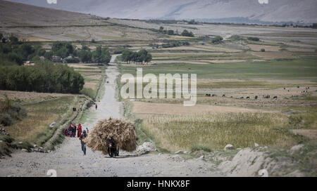 L'Afghanistan, corridor Wakhan, transport du foin pour l'âne le fourrage d'hiver dans la vallée guidée par un agriculteur et sa famille, la marche sur la rue. Banque D'Images