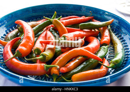 Chili Peppers, chili, chili, des plantes du genre Capsicum, membres de la famille des solanacées, Solanaceae. Banque D'Images