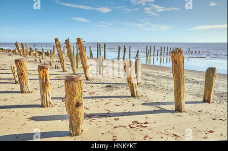 Vieille épis position contre la mer au large de la côte de l'East Yorkshire sur une plage de sable fin sur une journée ensoleillée Banque D'Images