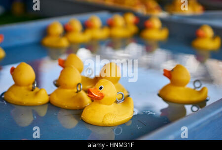 De nombreux canards en caoutchouc jaune flottant sur un grand plateau d'eau Banque D'Images