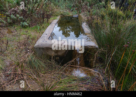 Fontaine et rural avec bassin pour l'agriculture et de l'élevage, Malaga, Espagne Banque D'Images