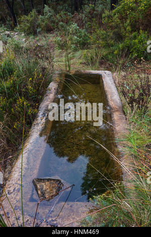 Fontaine et rural avec bassin pour l'agriculture et de l'élevage, Malaga, Espagne Banque D'Images