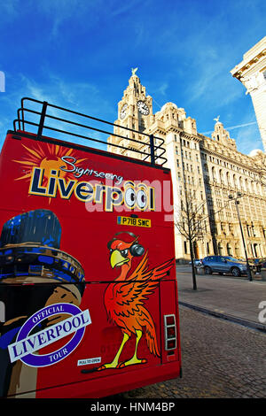 Liverpool UK, 5e janvier 2017. Liverpool bus de tourisme en face du foie les bâtiments. Liverpool UK Banque D'Images