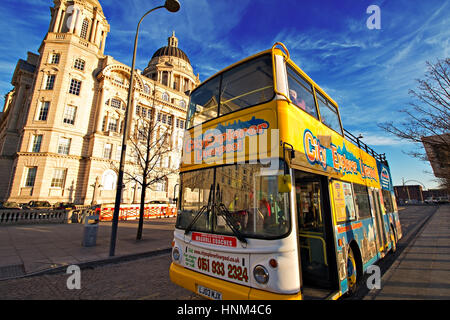 Liverpool UK, 5e janvier 2017. Liverpool bus de tourisme en face du foie les bâtiments. Liverpool UK Banque D'Images