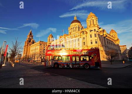 Liverpool UK, 5e janvier 2017. Liverpool bus de tourisme en face du foie les bâtiments. Liverpool UK Banque D'Images