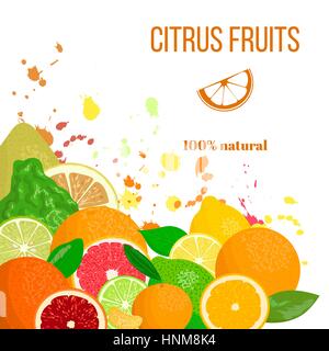 Agrumes dans le coin. produits frais et juteux. La bergamote, citron, pamplemousse, citron vert, mandarine, orange, pomelo, d'orange sanguine avec des touches. Pour les cosmétiques, Illustration de Vecteur