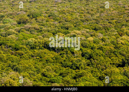 Une vue aérienne du Parc National de Nechisar, Arba Minch, Ethiopie Banque D'Images