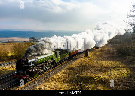 Ribblesdale, North Yorkshire, UK. 14Th Feb 2017. Tornado locomotive à vapeur tire un train dans Ribblesdale sur la ligne Settle-Carlisle. C'est le premier jour de la vapeur-tiré des services réguliers sur le réseau ferroviaire national depuis 1968. Les services continuent le mercredi et jeudi. La classe A1 60163 Tornade, achevé en 2008, est la première machine à vapeur de la ligne principale à être construit au Royaume-Uni depuis les années 1960. Crédit : Jon des étincelles/Alamy Live News Banque D'Images