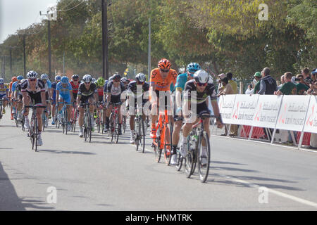 Naseem Park, Muscat, Oman. 14Th Feb 2017. Les 5 étapes du Tour d'Oman a commencé aujourd'hui avec la participation de 144 cyclistes internationales. L'étape d'aujourd'hui a remporté par Alexander Kristoff. Hawwa Al Qusimy/Alamy Live News Banque D'Images