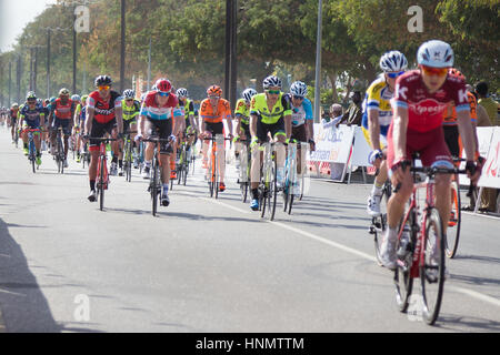 Naseem Park, Muscat, Oman. 14Th Feb 2017. Les 5 étapes du Tour d'Oman a commencé aujourd'hui avec la participation de 144 cyclistes internationales. L'étape d'aujourd'hui a remporté par Alexander Kristoff. Hawwa Al Qusimy/Alamy Live News Banque D'Images