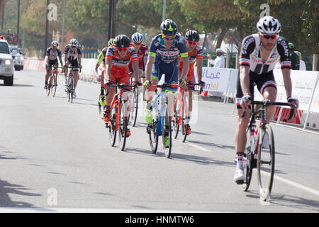 Naseem Park, Muscat, Oman. 14Th Feb 2017. Les 5 étapes du Tour d'Oman a commencé aujourd'hui avec la participation de 144 cyclistes internationales. L'étape d'aujourd'hui a remporté par Alexander Kristoff. Hawwa Al Qusimy/Alamy Live News Banque D'Images