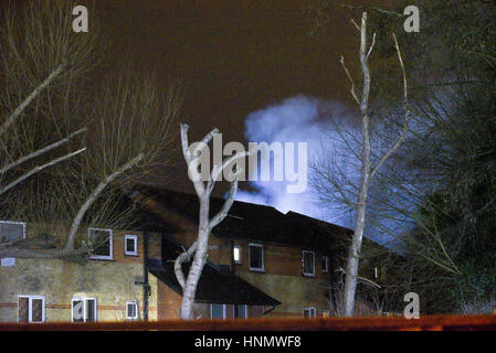 Oxford, UK. 14Th Feb 2017. Proche de la police, Rue Mill à Oxford après un cas présumé de gaz explosion qui a détruit un immeuble d'appartements à proximité de crédit croissant Gibbs : Roger askew/Alamy Live News Banque D'Images