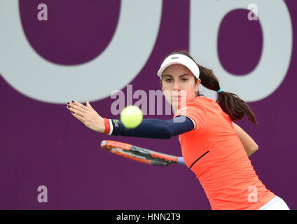 Doha, Qatar. Feb 15, 2017. Christina Mchale des États-Unis renvoie une balle pendant le simple dames 1er tour match contre Elena Vesnina de la Russie lors de l'Open du Qatar 2017 WTA au complexe de tennis Khalifa International de Doha, Qatar, le 15 février 2017. Credit : Nikku/Xinhua/Alamy Live News Banque D'Images